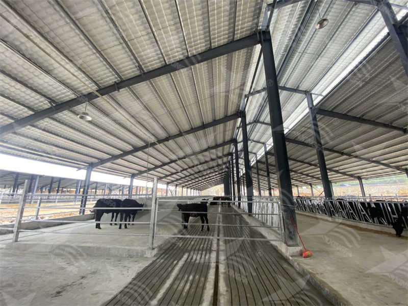 zq树脂瓦：养殖场的夏日守护者，为小动物打造凉爽乐园